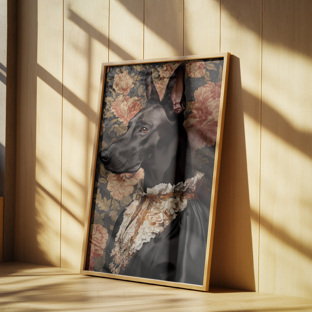 The Elegant Great Dane | Poster