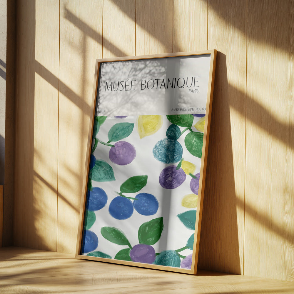 Museebotaniqueno11 | Poster