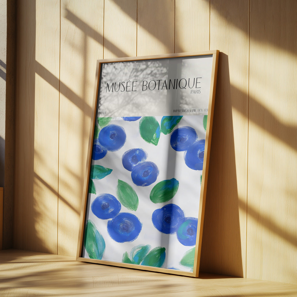 Museebotaniqueno12 | Poster
