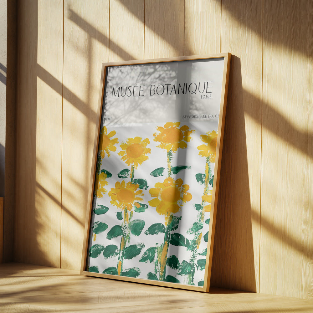 Museebotaniqueno17 | Poster