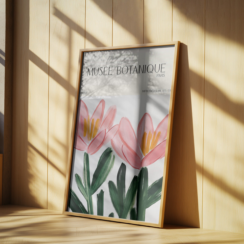 Museebotaniqueno18 | Poster