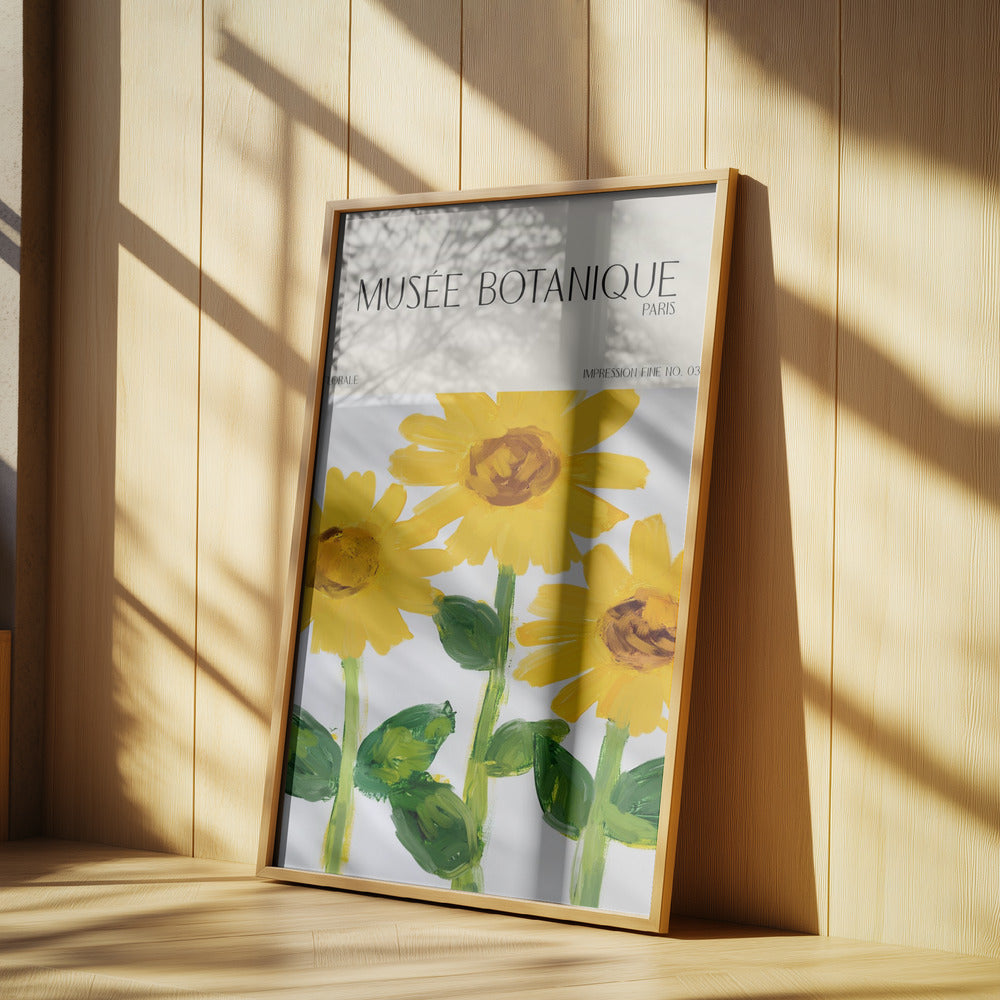 Museebotaniqueno27 | Poster