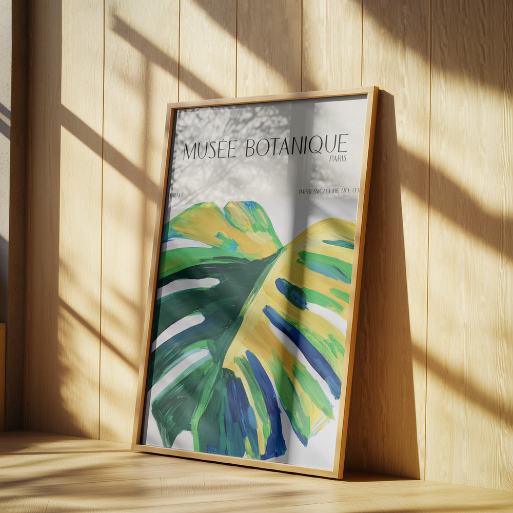 Museebotaniqueno28 | Poster