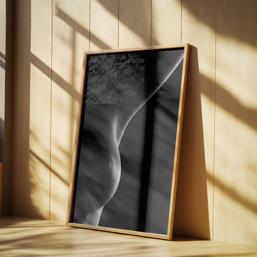 Naken detalj | Poster