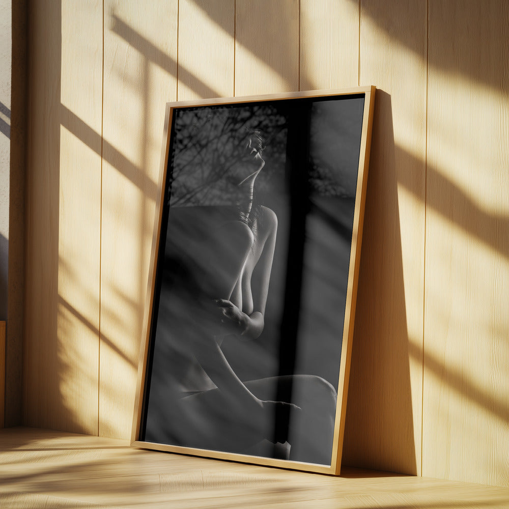 Sinnliche Schönheit | Poster