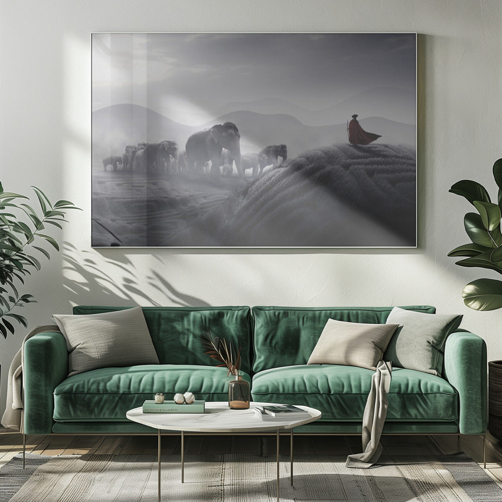 Robin des Bois | Toile