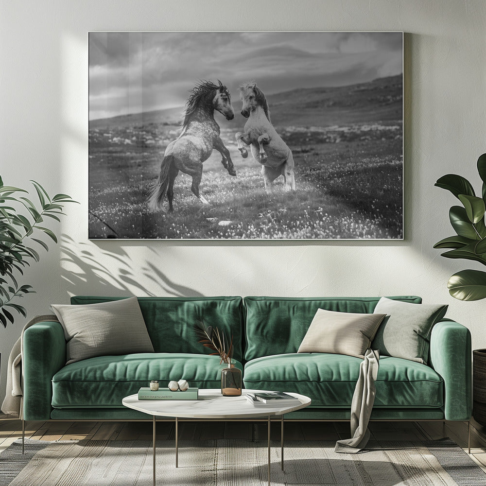 Sauvage et libre | Toile