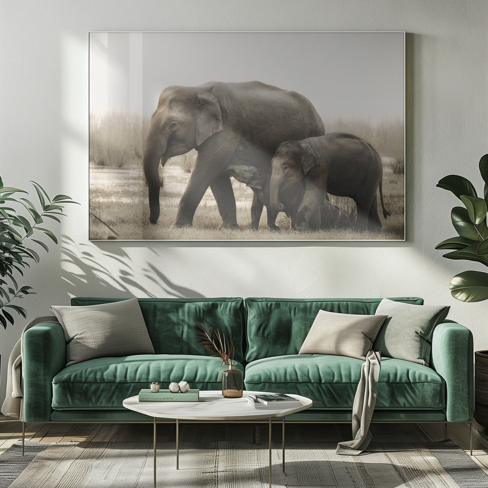 Portrait de famille | Toile