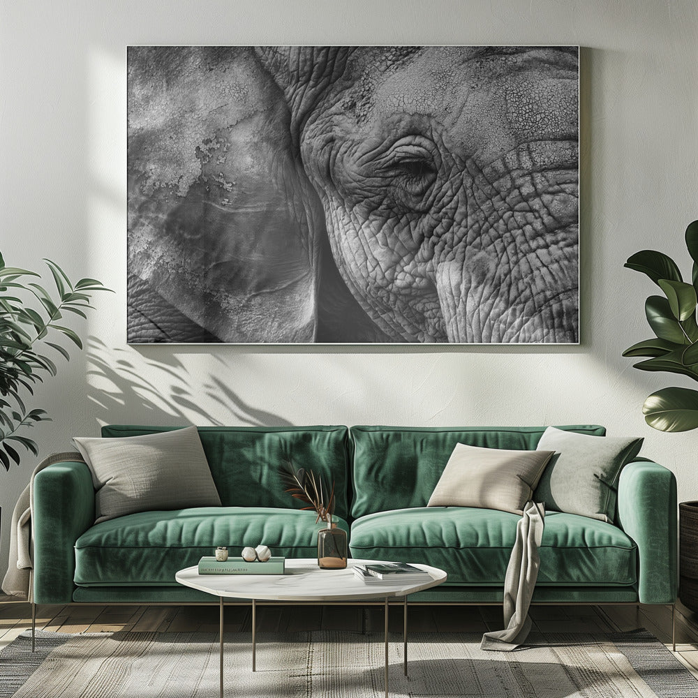 Peau d'éléphant | Toile