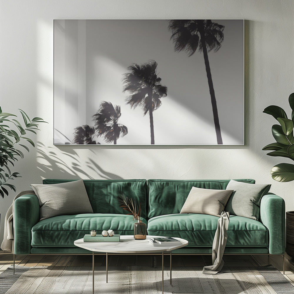Palmier_004 | Toile