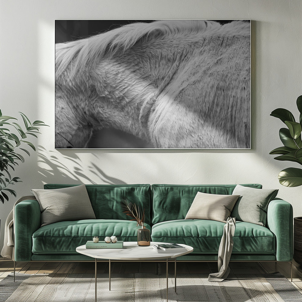Häst II | Canvas