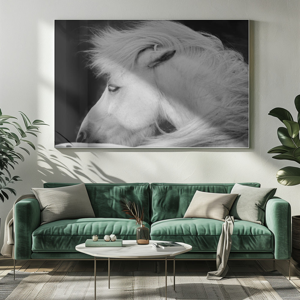 Écoutez le vent | Canvas