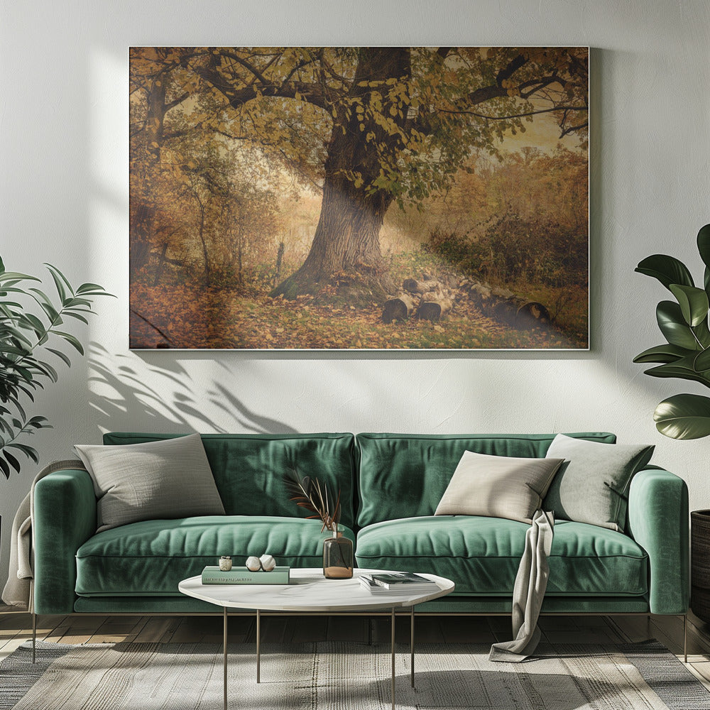 Vieil arbre | Toile