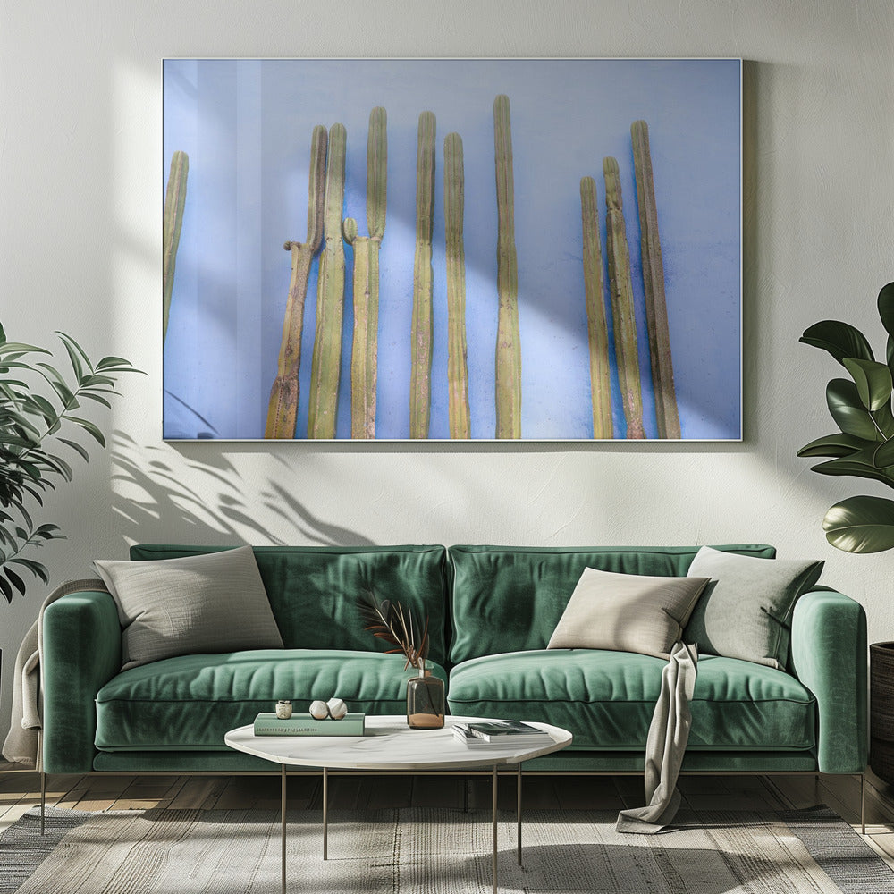 Grands cactus sur fond bleu | Voyage à Oaxaca, Mexique | Toile