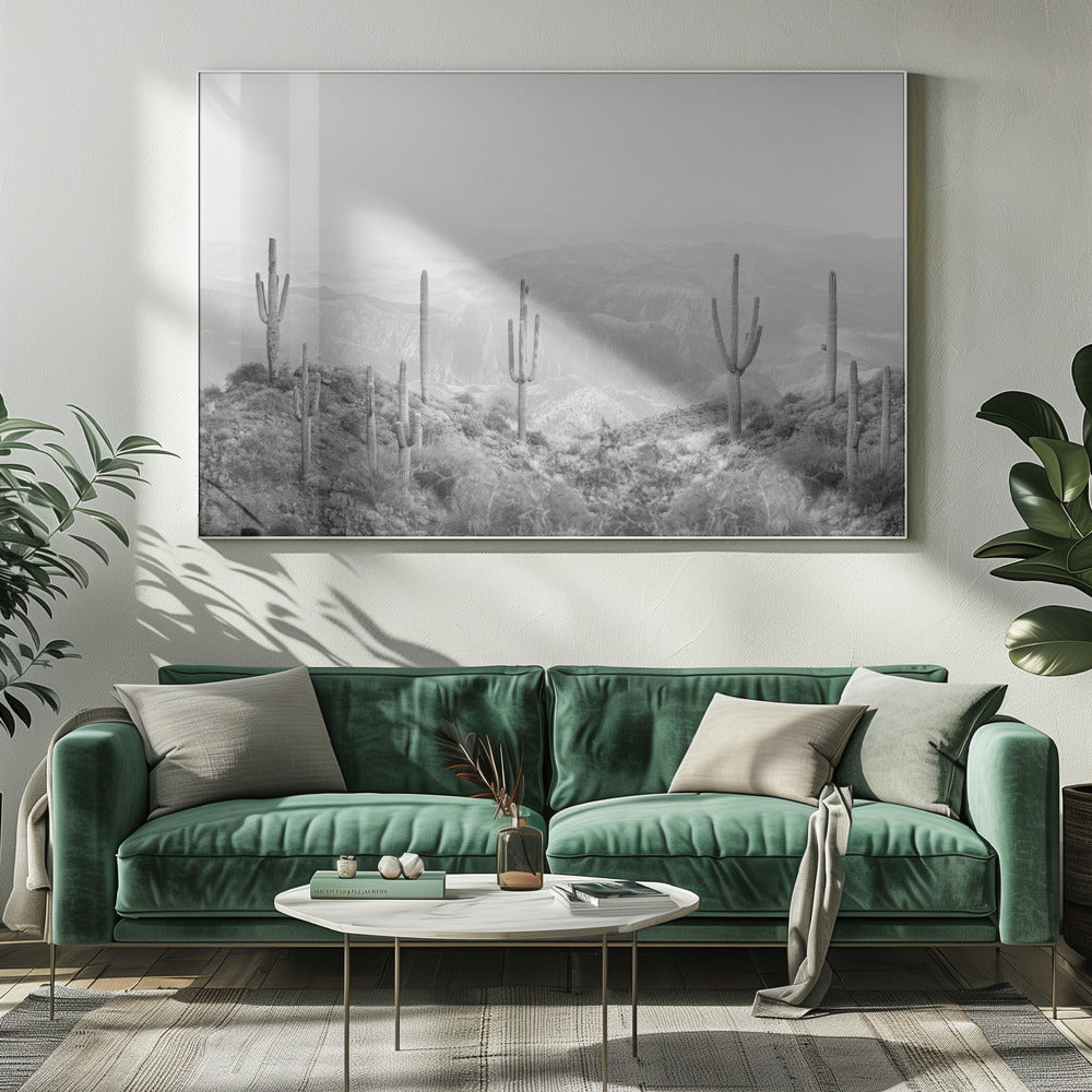 Cactus occidental | Toile