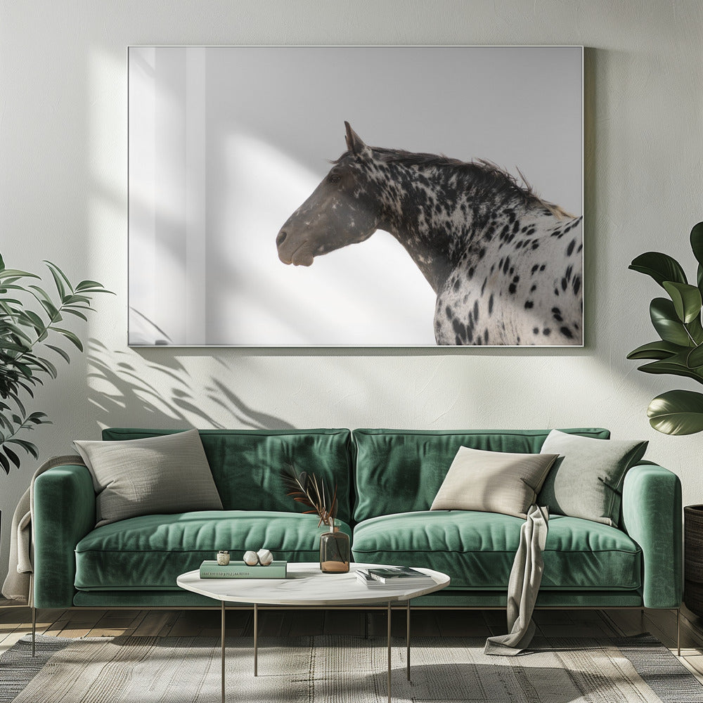 Andromède 4 | Toile