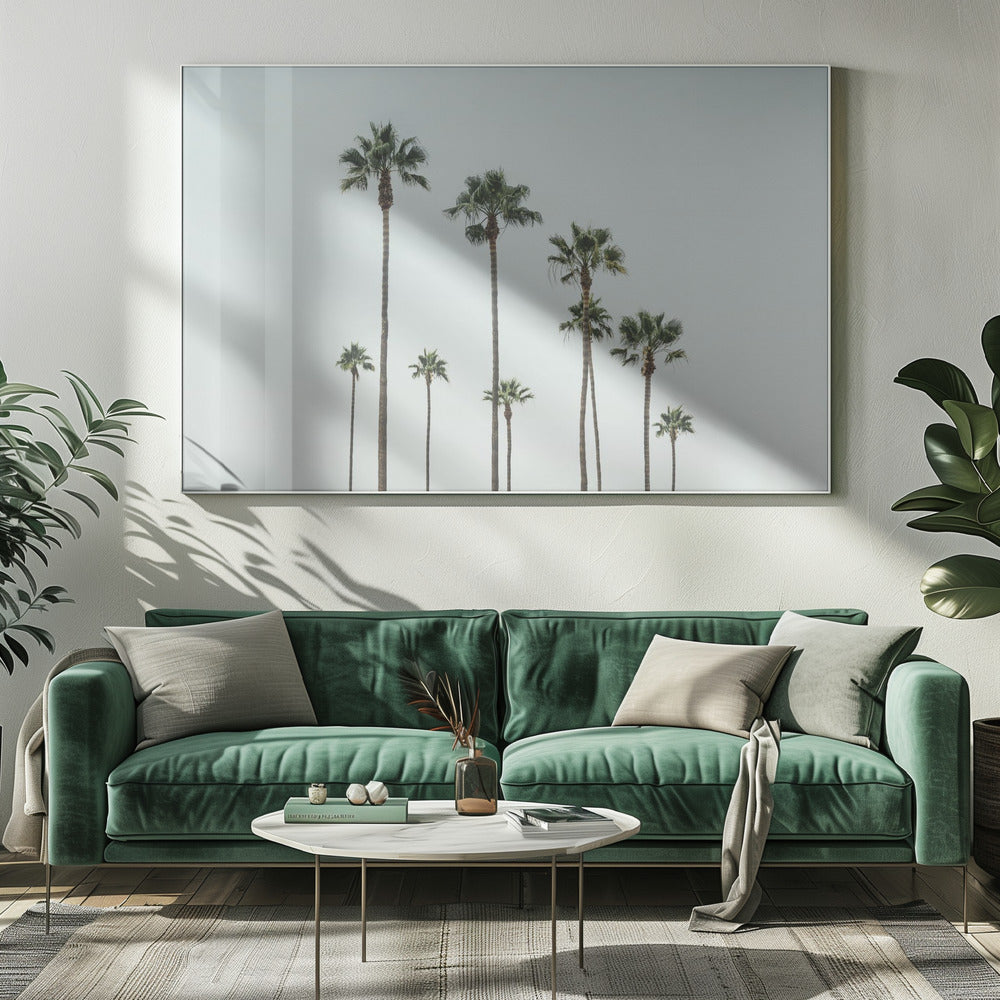 Cali Palms | Toile