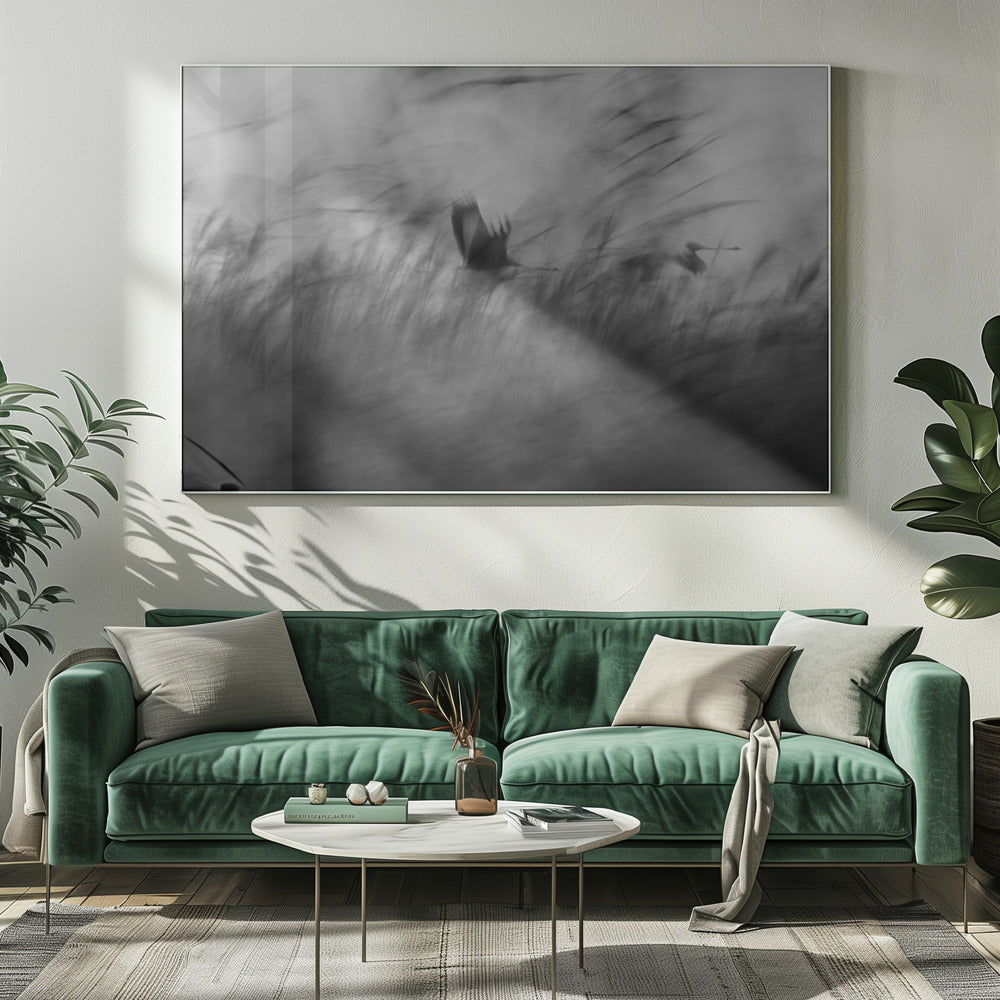 Out of the Blue | Canvas