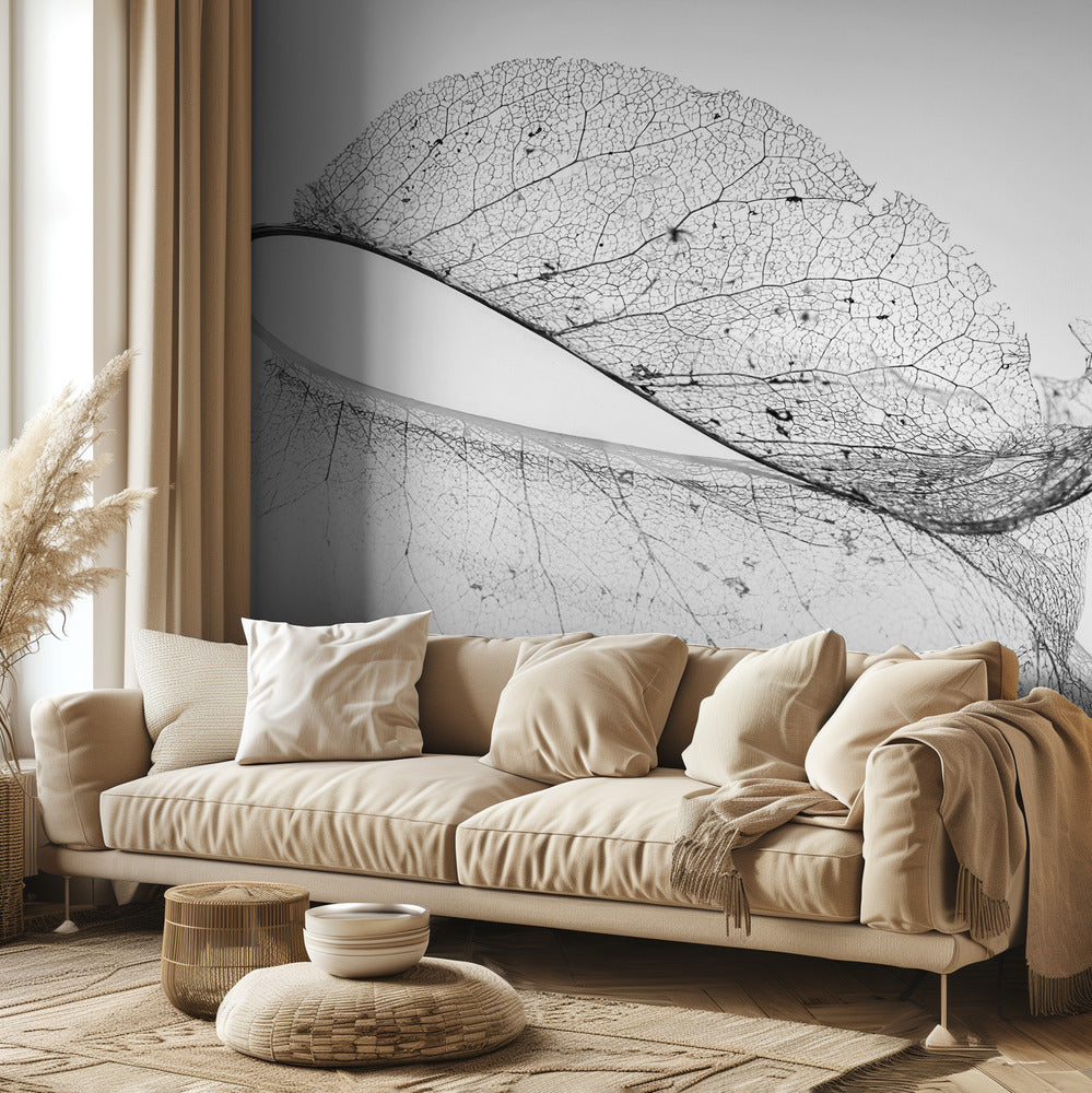 La vieille feuille | Papier Peint Photo