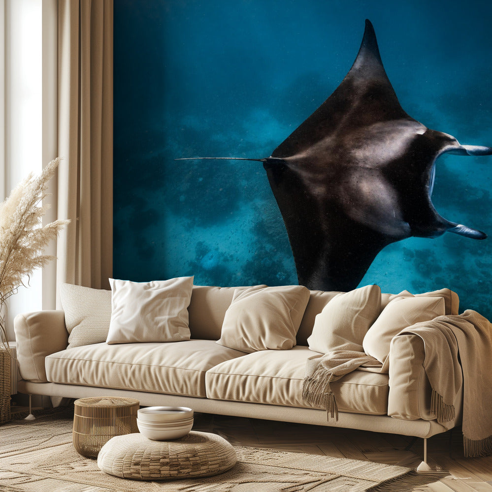¡¡¡Manta vuela!!! Papel Pintado Fotográfico