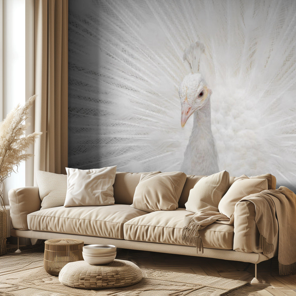 Splendide Whiteie | Papier Peint Photo