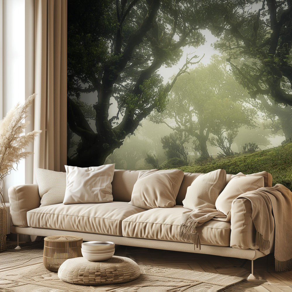 Bosque encantado | Papel Pintado Fotográfico