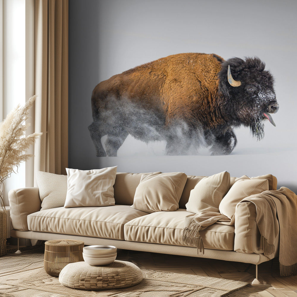 Bison dans la neige | Papier Peint Photo