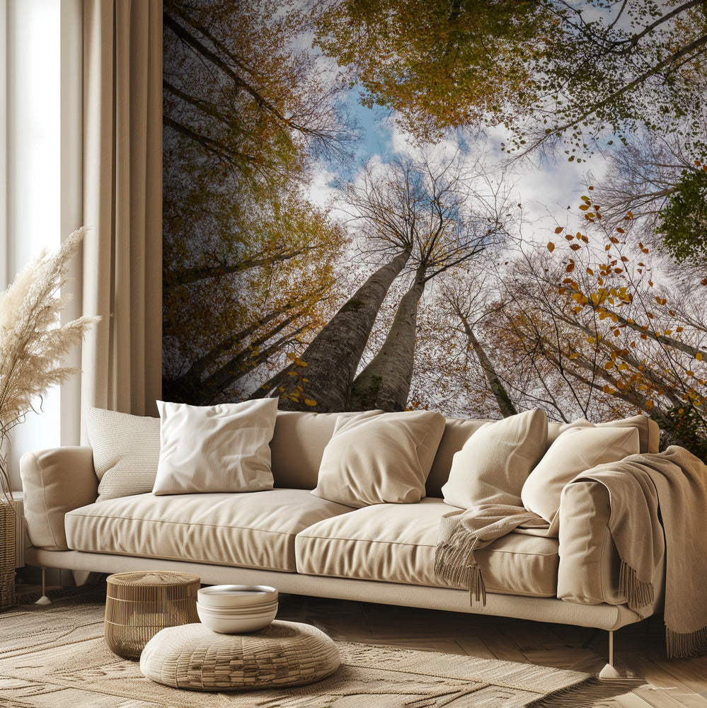 Bosque | Papel Pintado Fotográfico