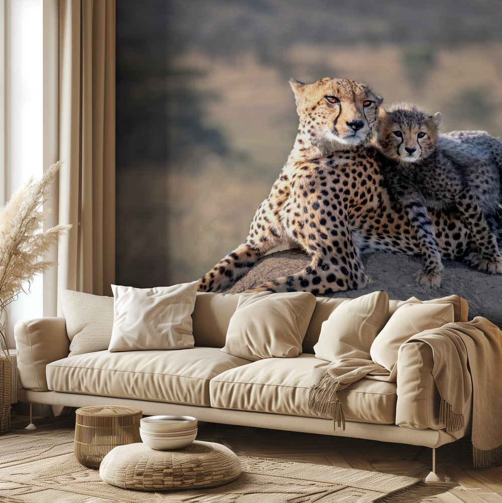 Cheetah en beker! | Fotobehang