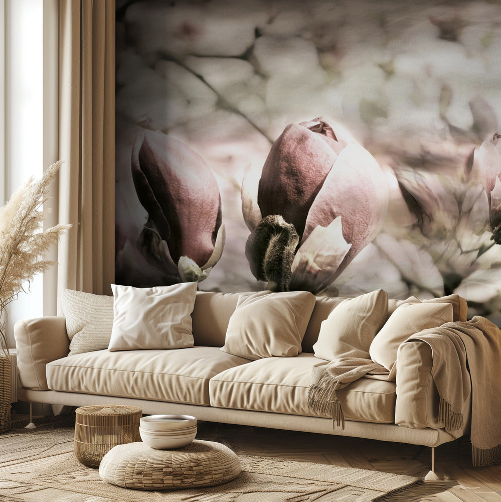 Wiosna magnolii | Fototapeta