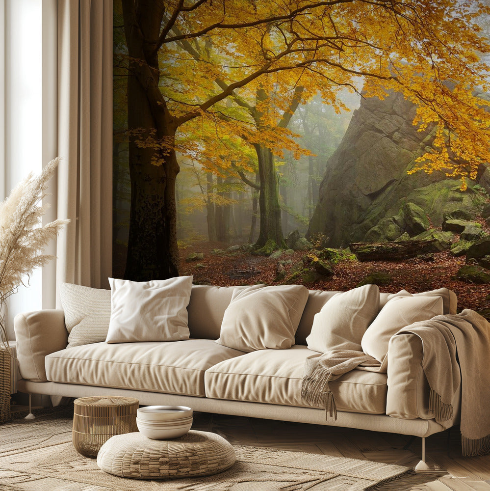 Bosque de otoño | Papel Pintado Fotográfico