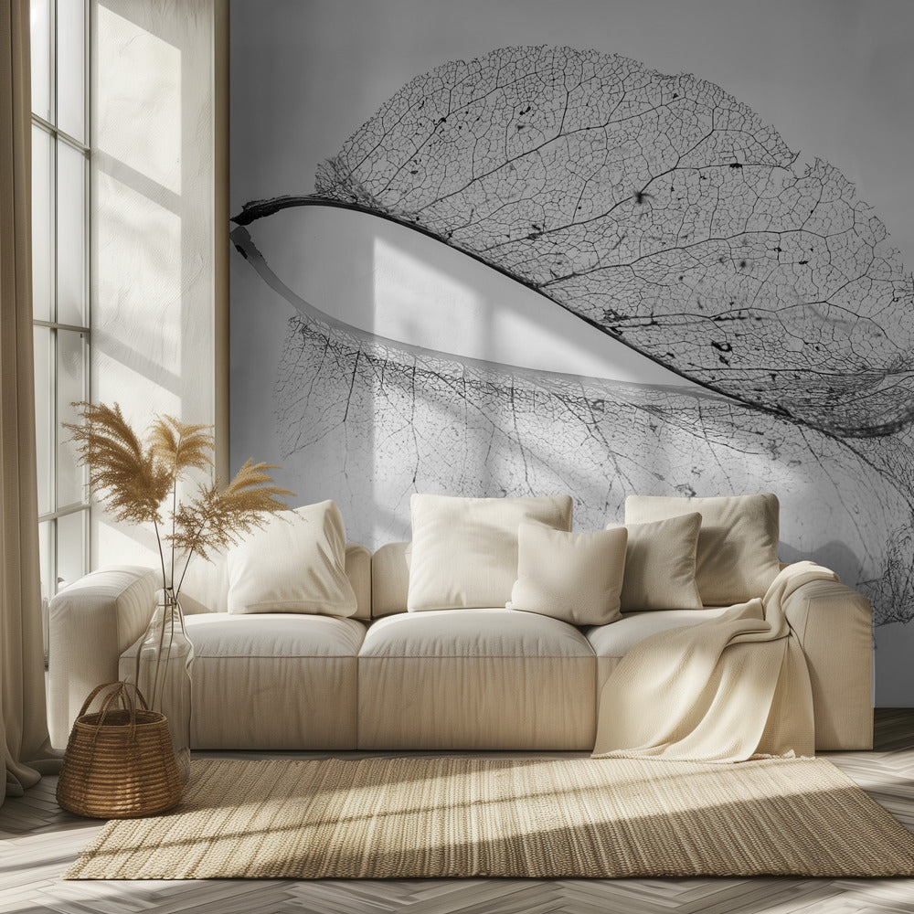 La vieille feuille | Papier Peint Photo
