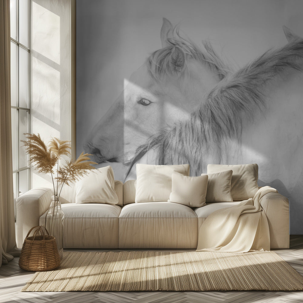 Horses | Wallpaper