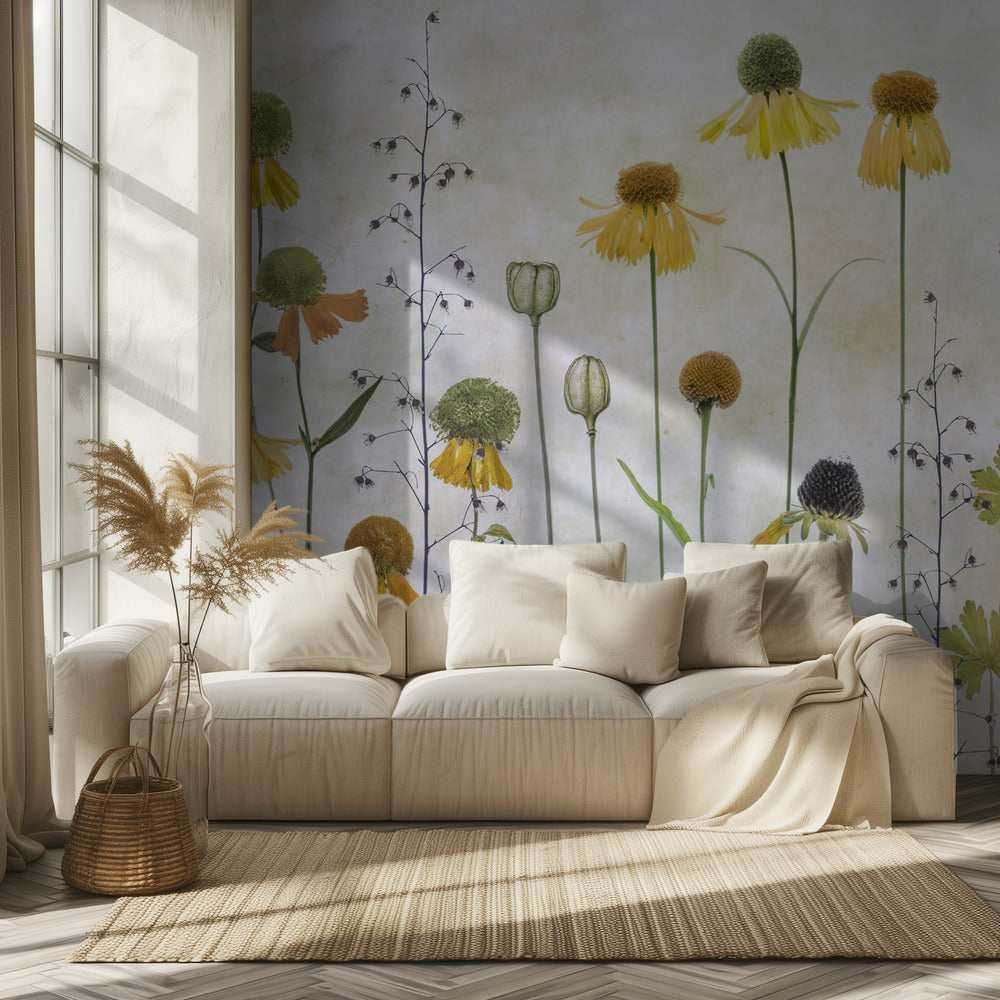 Helenium | Valokuvatapetit