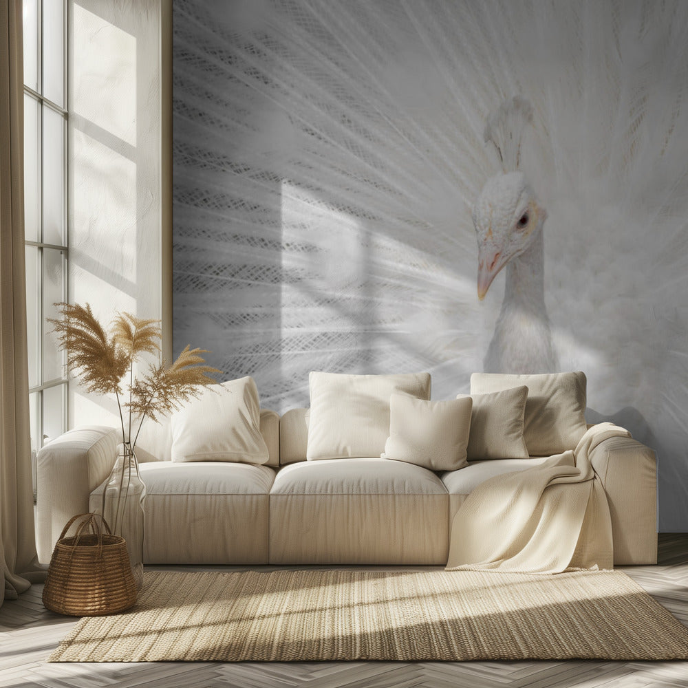 Splendide Whiteie | Papier Peint Photo
