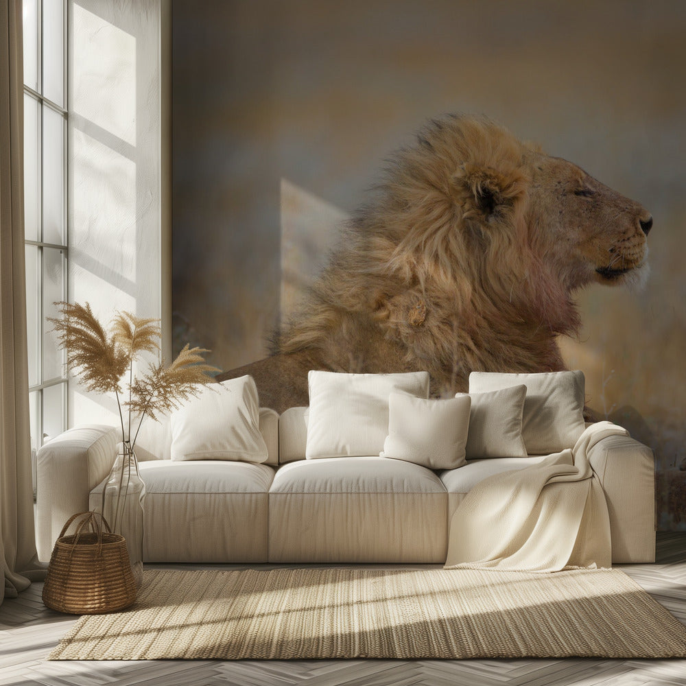 Lion mâle avec son petit | Papier Peint Photo