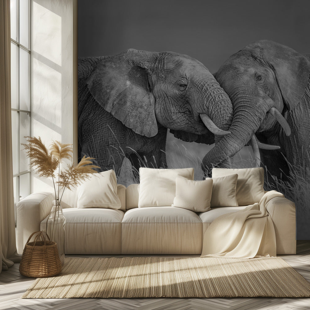Vol d'éléphant | Papier Peint Photo