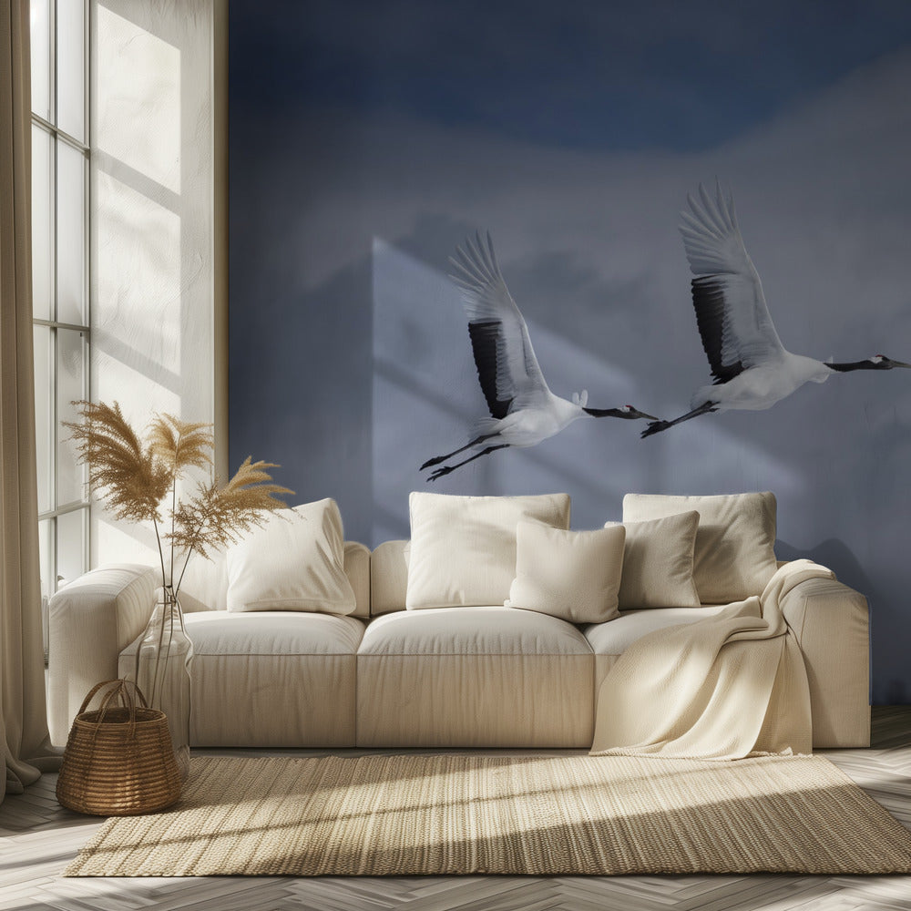 Sandhill i aktion | Fototapet