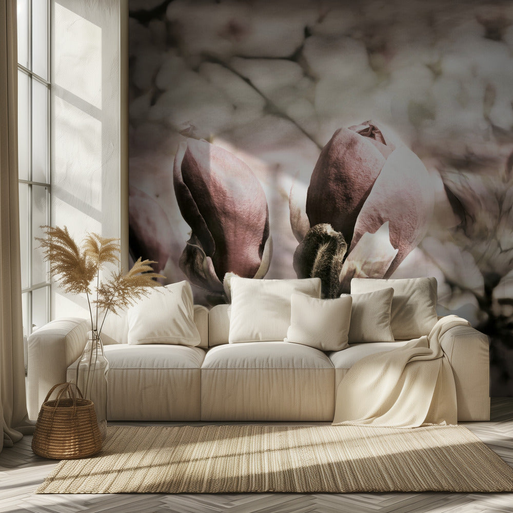 Wiosna magnolii | Fototapeta
