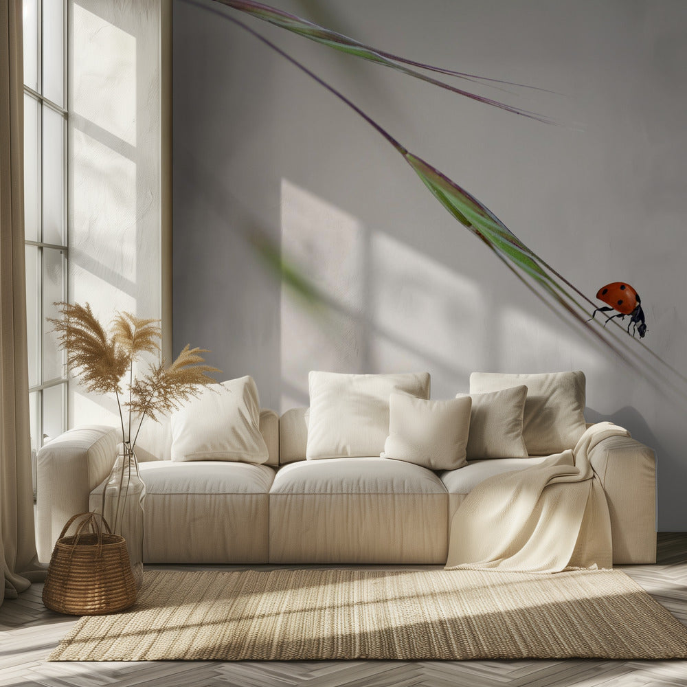 coccinelle | Papier Peint Photo