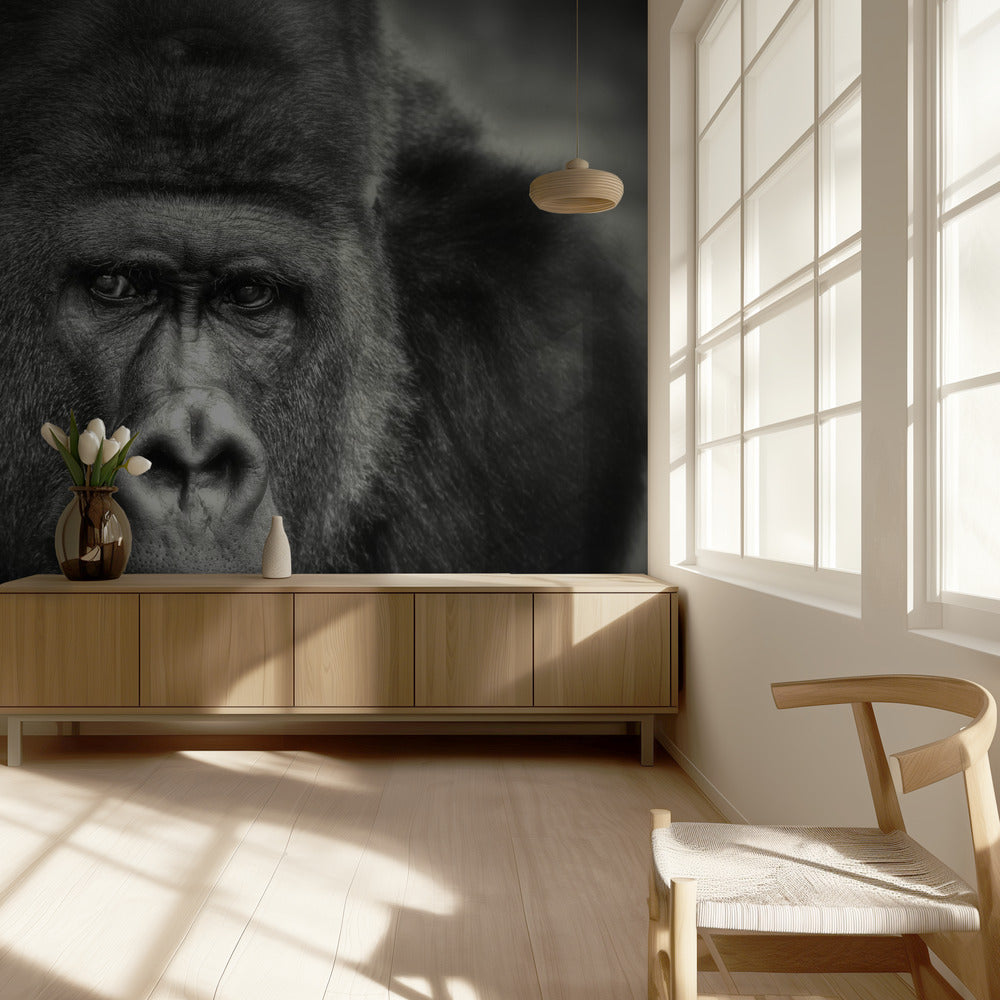 PETIT SOURIRE. . . . | Papier Peint Photo