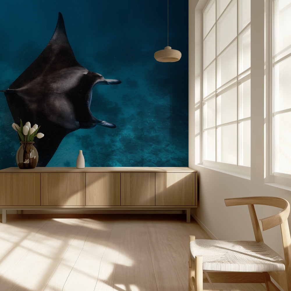 ¡¡¡Manta vuela!!! Papel Pintado Fotográfico