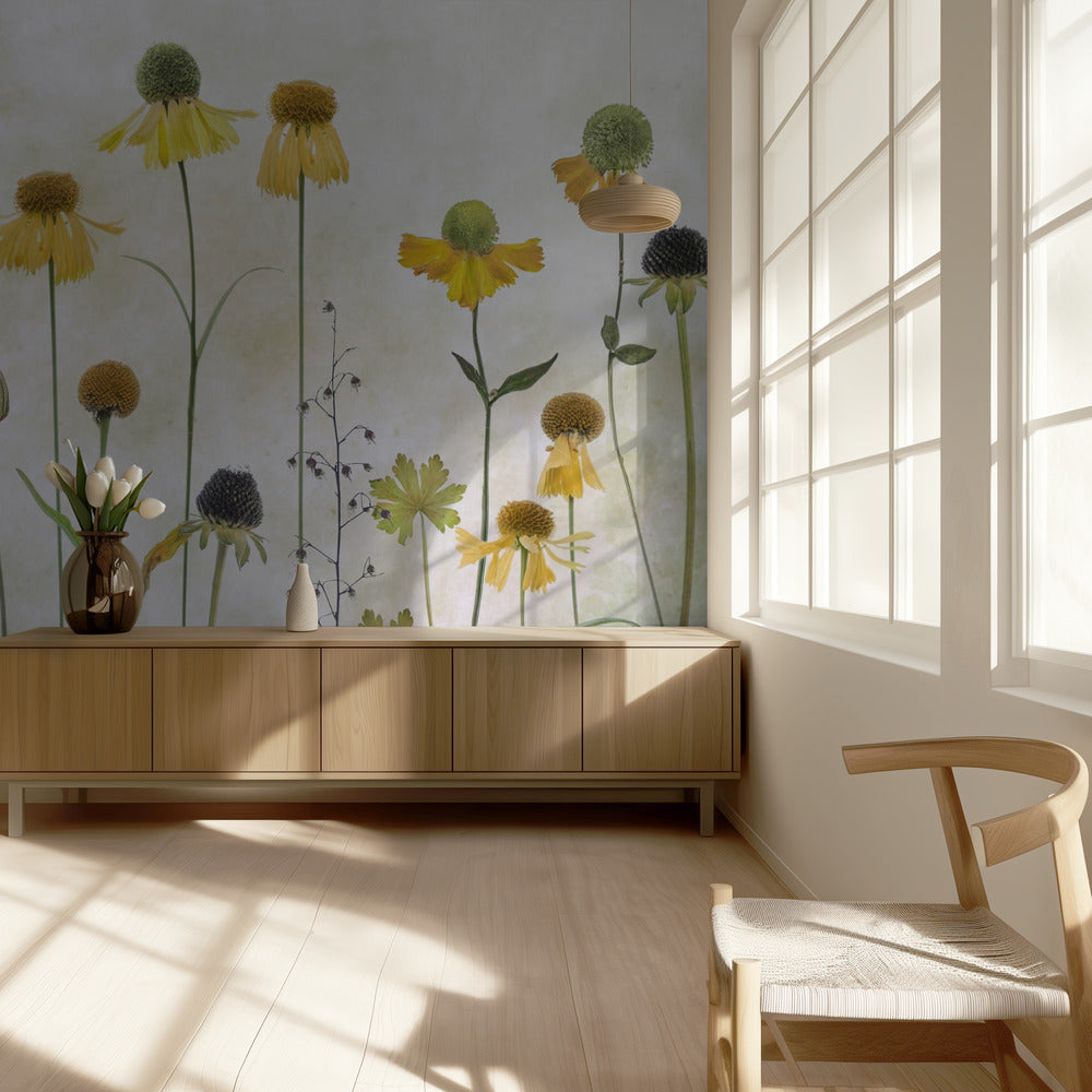 Helenium | Valokuvatapetit