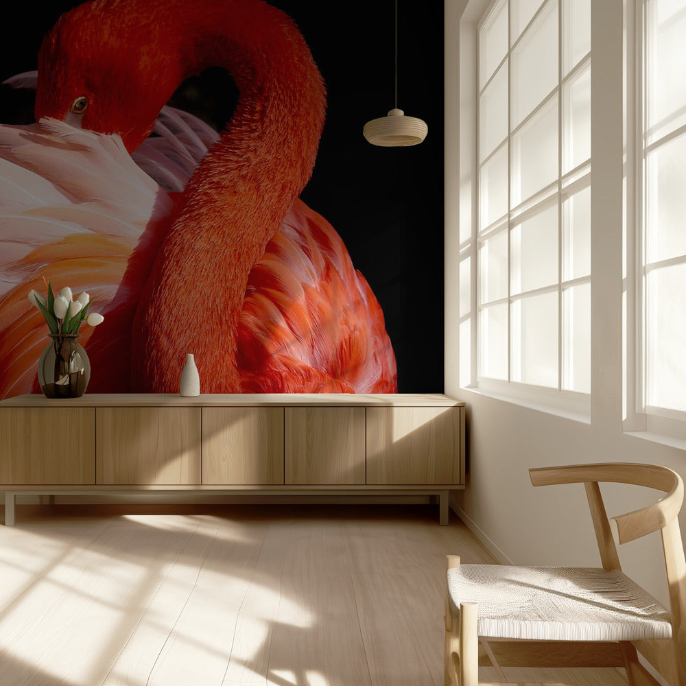 flamant rose | Papier Peint Photo