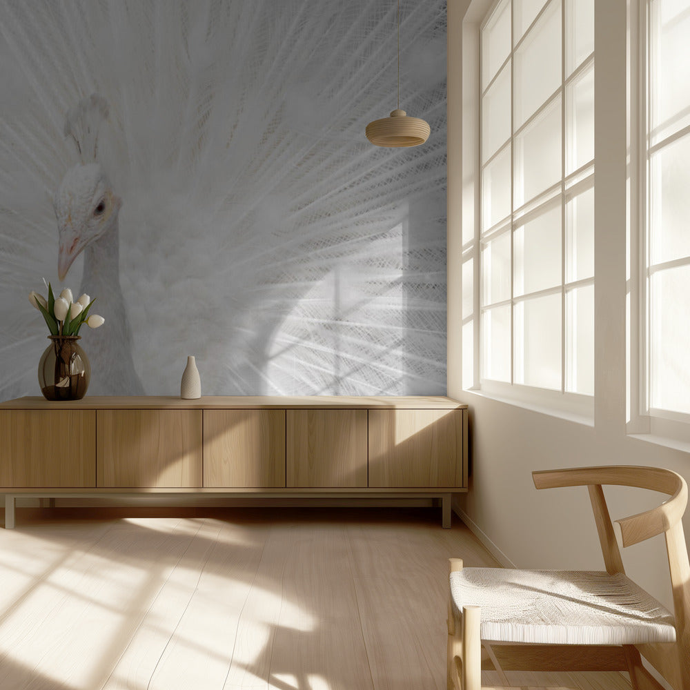 Splendide Whiteie | Papier Peint Photo