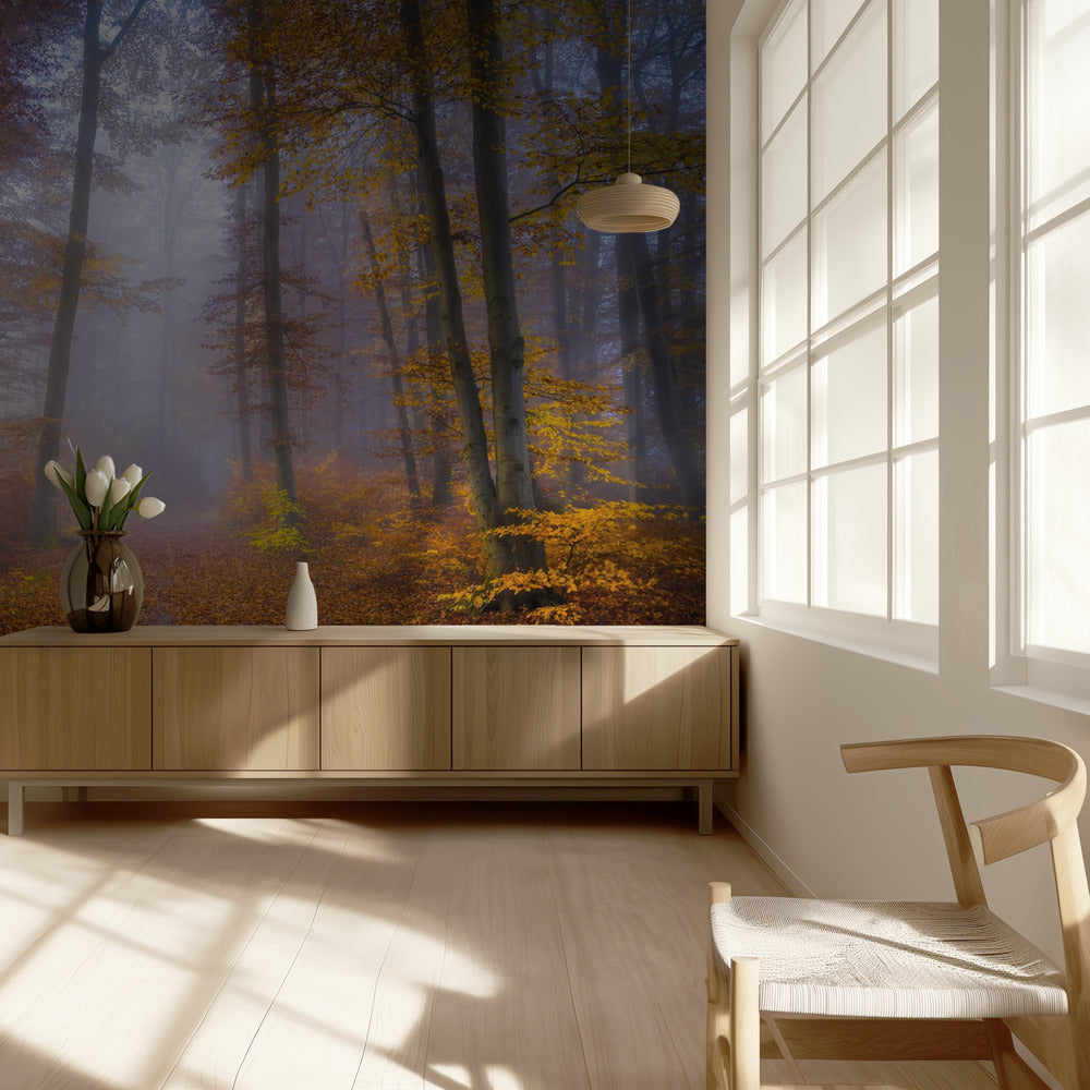Oktoberroute | Fotobehang