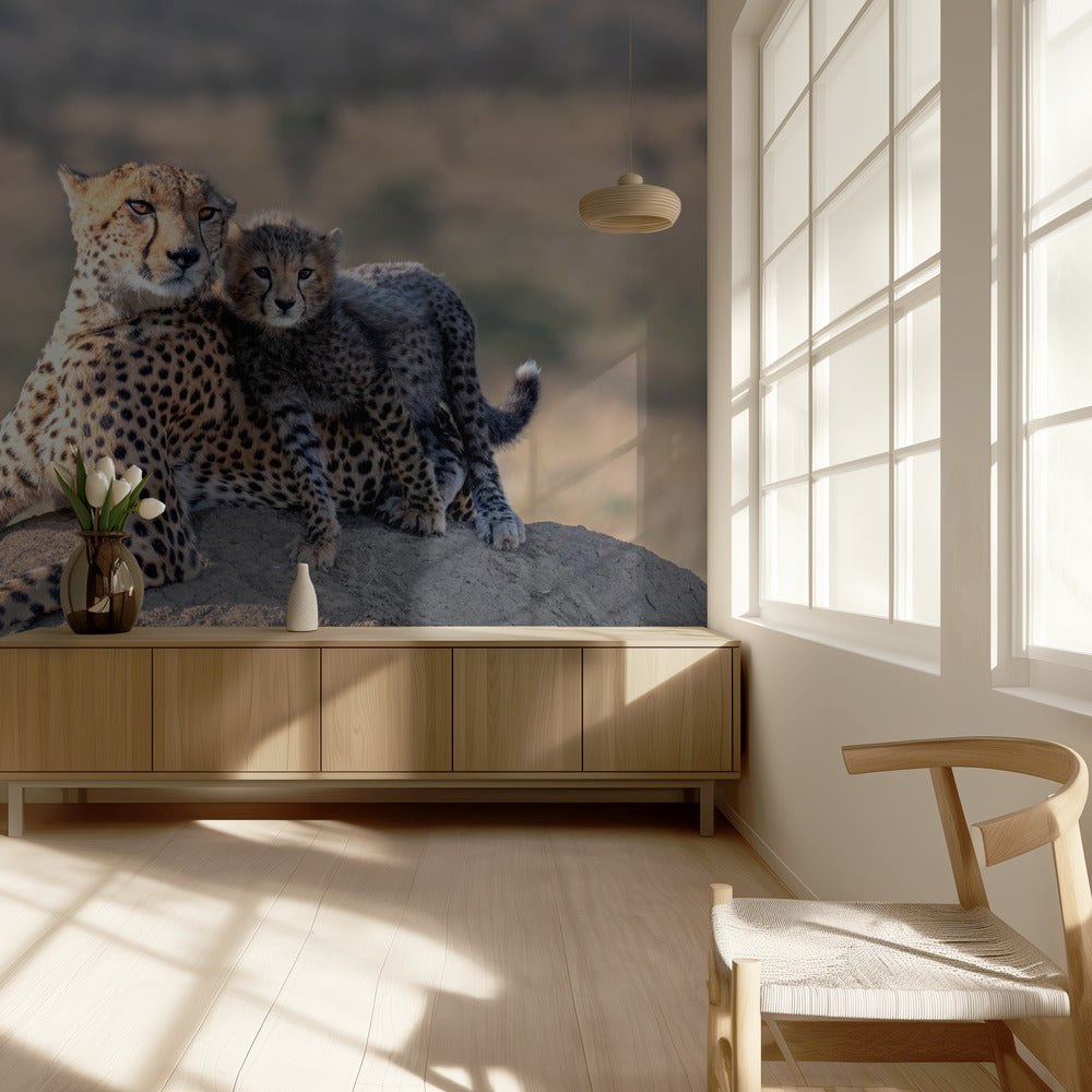 Cheetah en beker! | Fotobehang