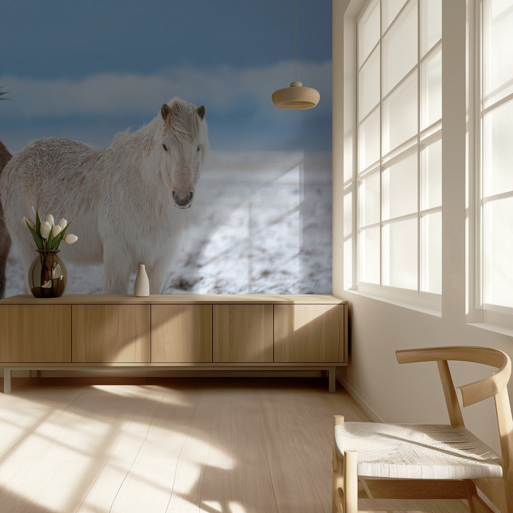 BROER S | Fotobehang