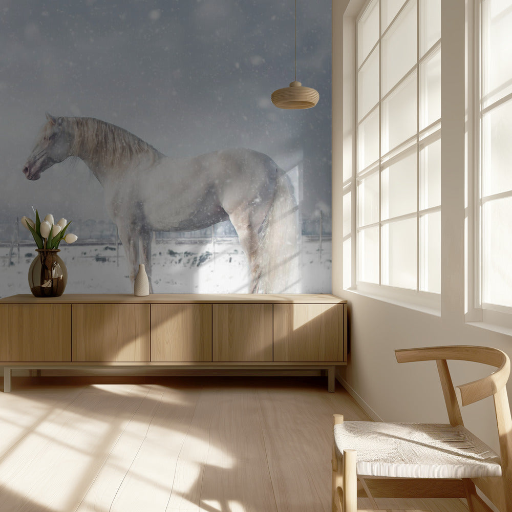 Laat het sneeuwen... | Fotobehang