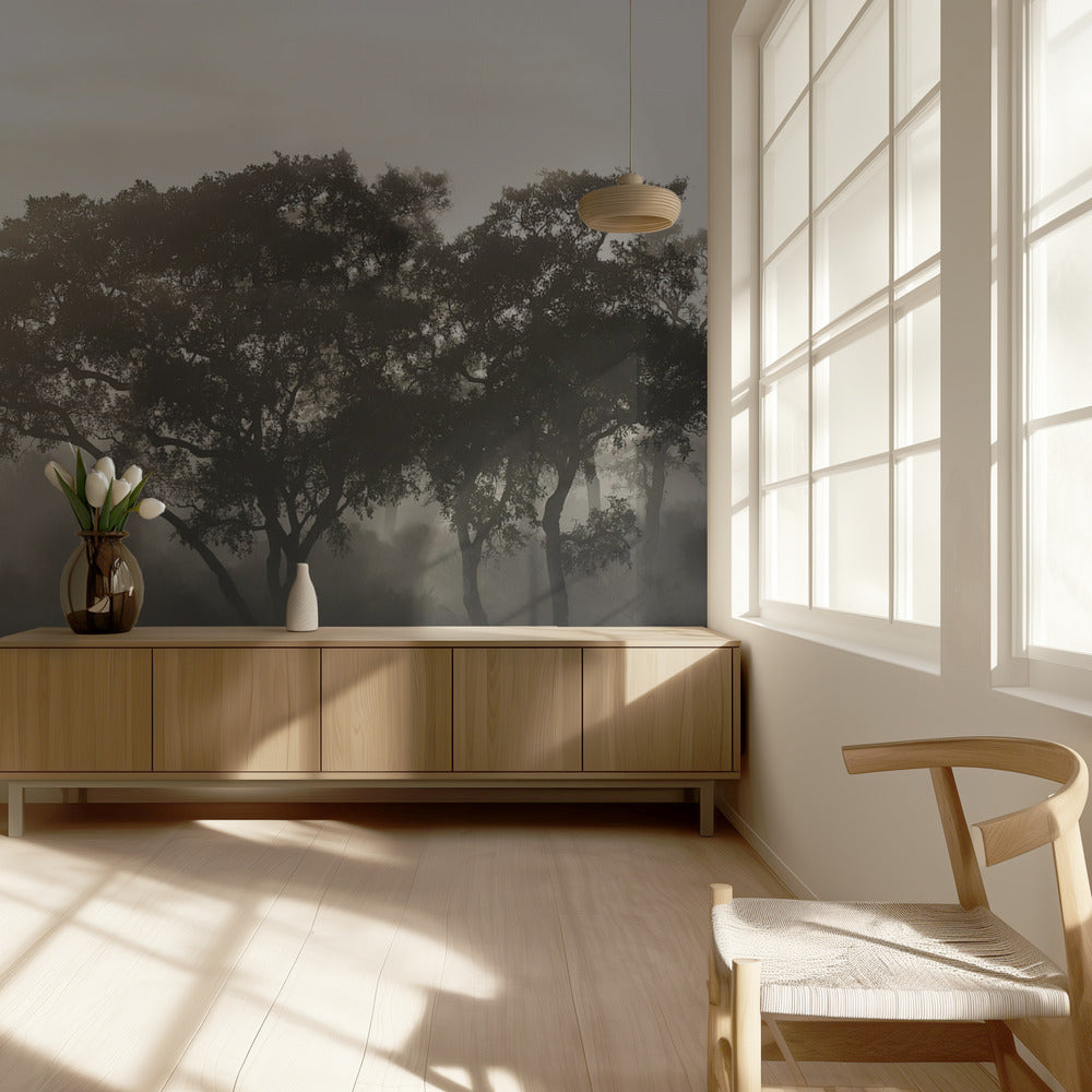 LEVER DE SOLEIL À SAVANE | Papier Peint Photo